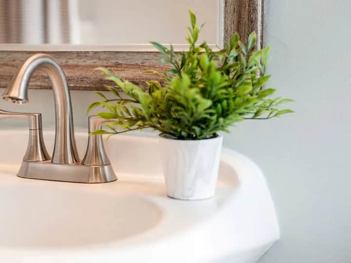 Jakie rośliny do łazienki bez okna? 7 najlepszych wyborów